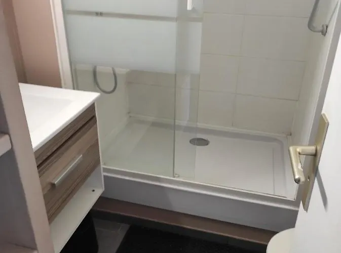 Centre Port,piscine Et Parking Sous Terrain Appartement