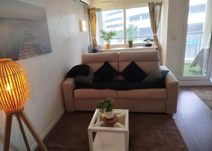 Centre Port,piscine Et Parking Sous Terrain Appartement Agde