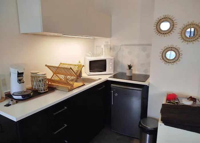 Appartement Centre Port,piscine Et Parking Sous Terrain Agde