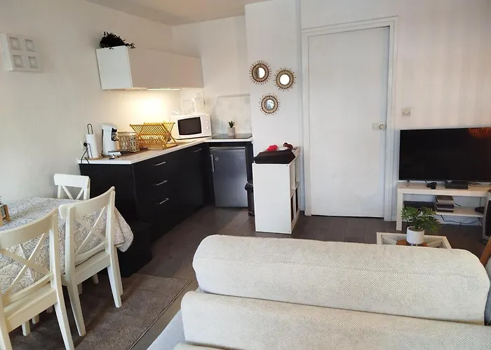 Centre Port,piscine Et Parking Sous Terrain *